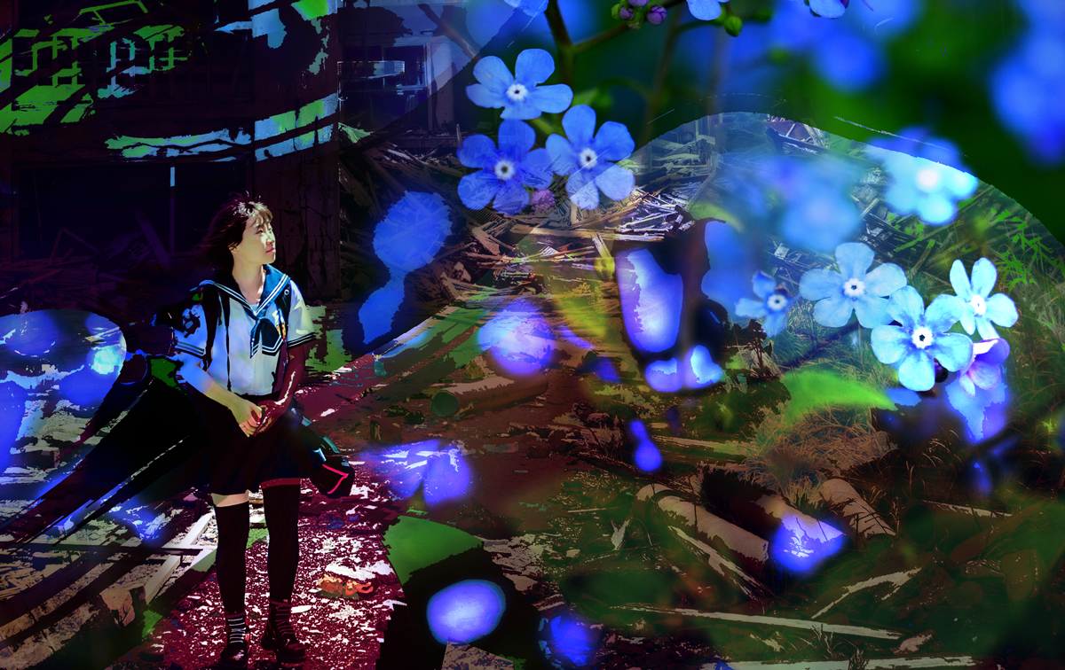 forgetmenot-closeup1